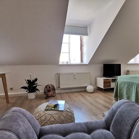 Fynbos Apartments in der Altstadt, Frauenkirche, Netflix, Parkplatz Meißen Exterior foto